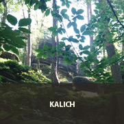 Kalich